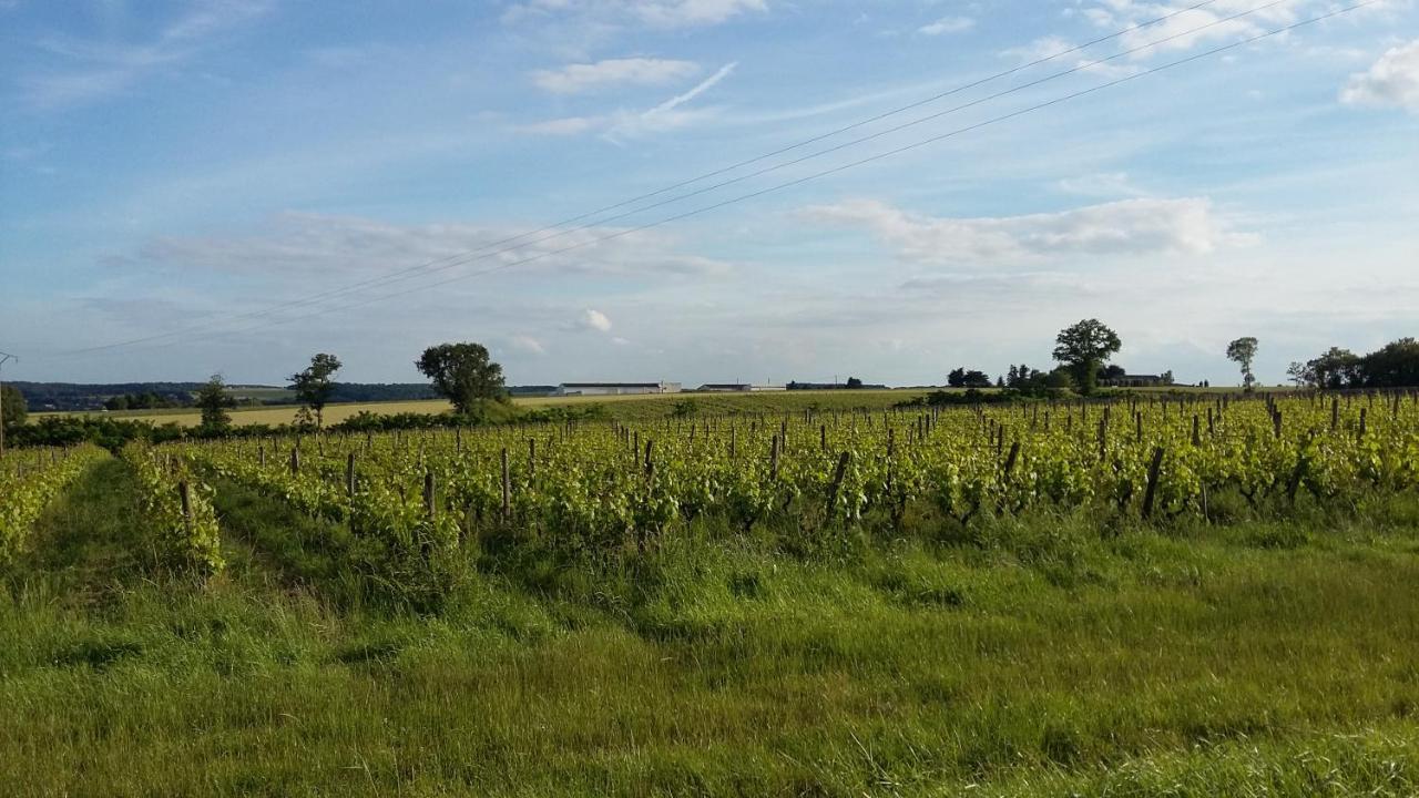 Gite-Civray-De-Touraine Maison De Denise 외부 사진